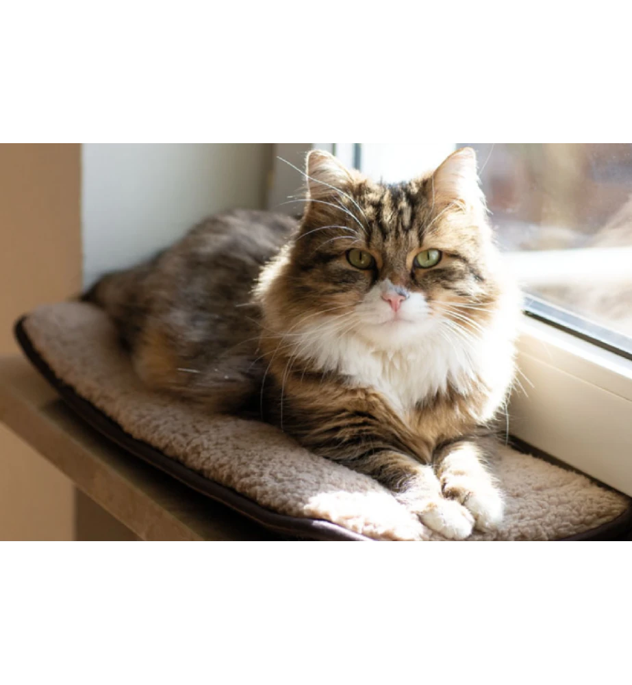 Petlando Windowchiller - Afbeelding 2