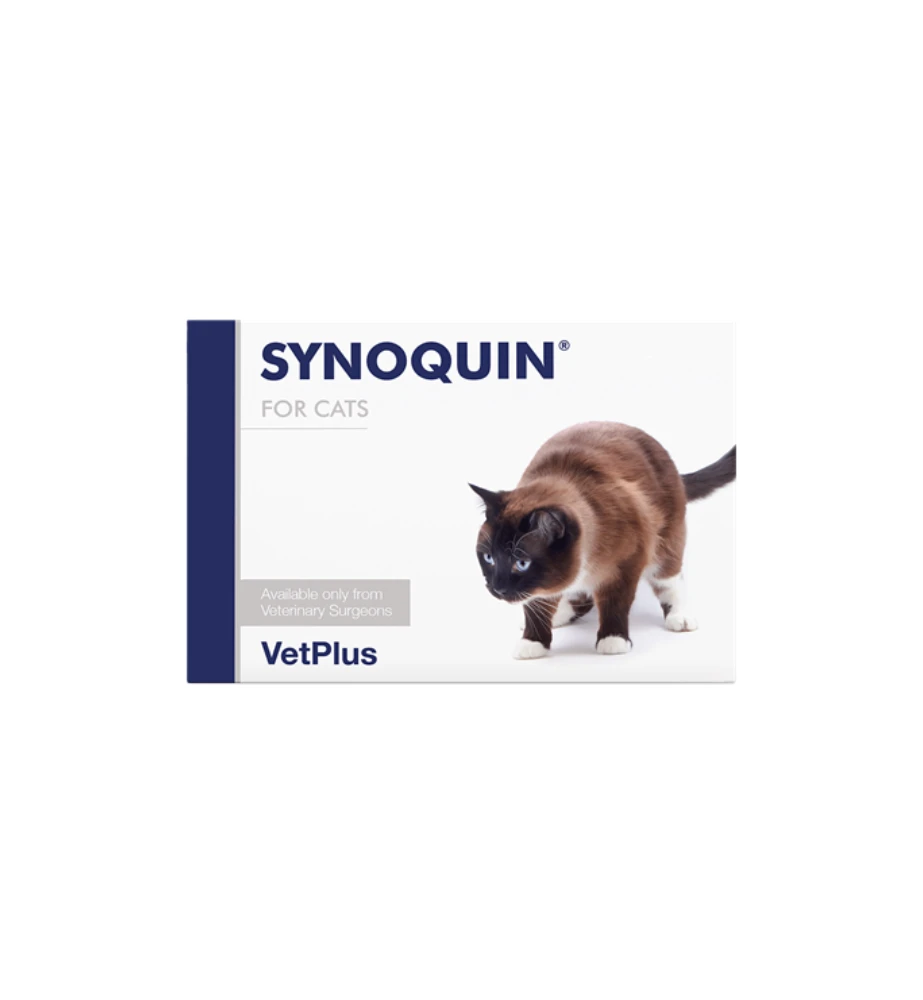 VetPlus Synoquin EFA Kat - Capsules